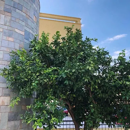 Dodoni Apartment Paralia Akratas